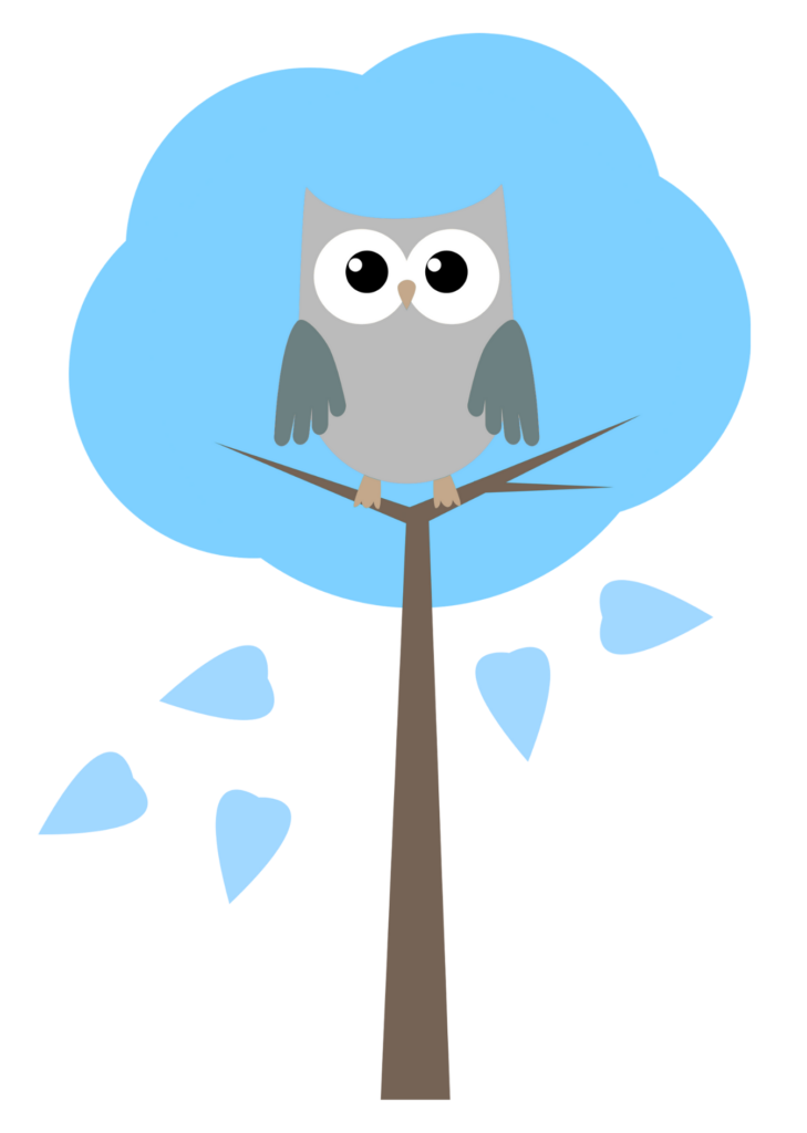 FINANCEMENT-options-financement